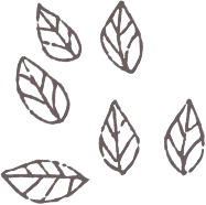 有機培養土と有機JAS認定の基礎知識と安全な選び方ガイド